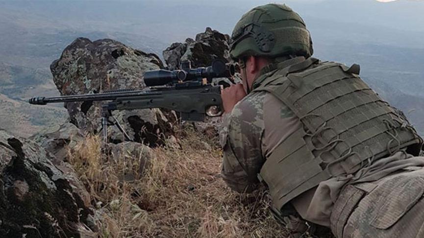 2 terrorists killed in Barış Pınarı region